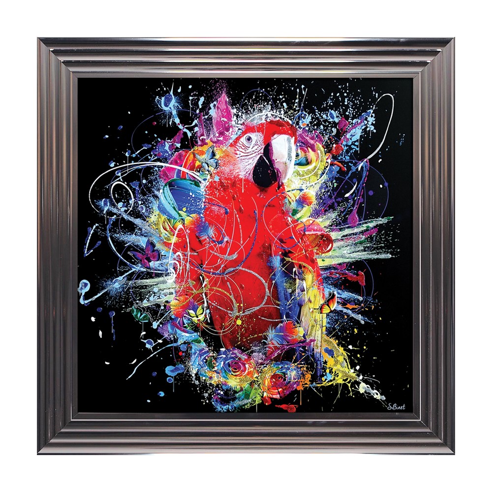 Tableau Perroquet Sylvain Binet Ambiance Cadres Quimper