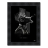 tableau cool monkey noir et blanc s.binet