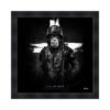 cadre singe grenade noir blanc sylvain binet