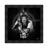 cadre singe micro noir blanc sylvain binet
