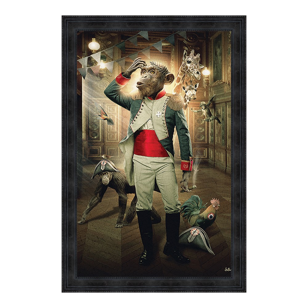 cadre_sylvain_binet_singe_empereur_animaux_cadraven_marseille_14.3151_80x120cm cadre sylvain binet singe empereur animaux