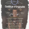 certificat d'originalite tableau mickey camisole