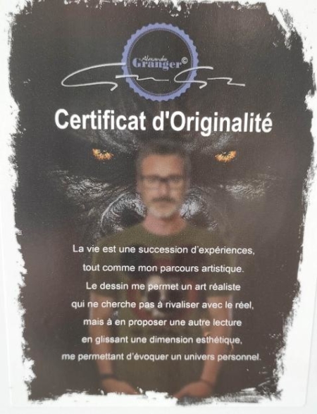 certificat d'originalite tableau mickey camisole