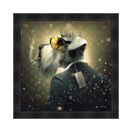 cadre chien lunette costume sylvain binet