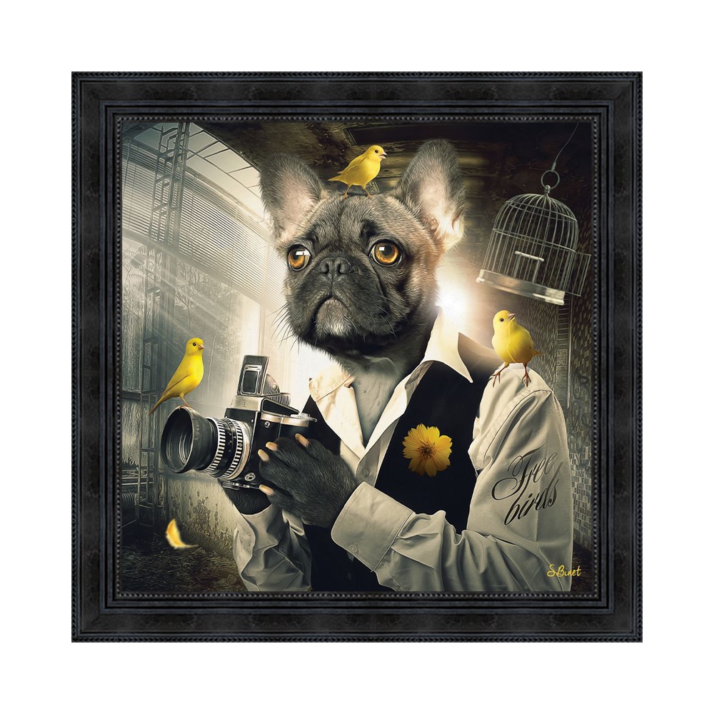 tableau_sylvain_binet_bouledogue_photographe_68x68_14.2490 Tableau Sylvain Binet Bouledogue Photographe
