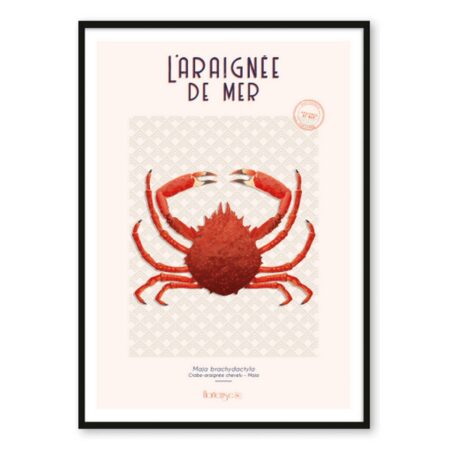 Affiche Araignée de Mer Hortense Déco Cuisine