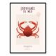Affiche Araignée de Mer Hortense Déco Cuisine