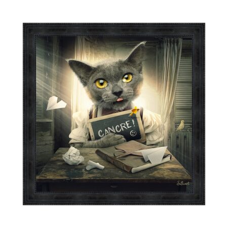 cadre chat cancre ecole