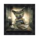 cadre chat cancre ecole
