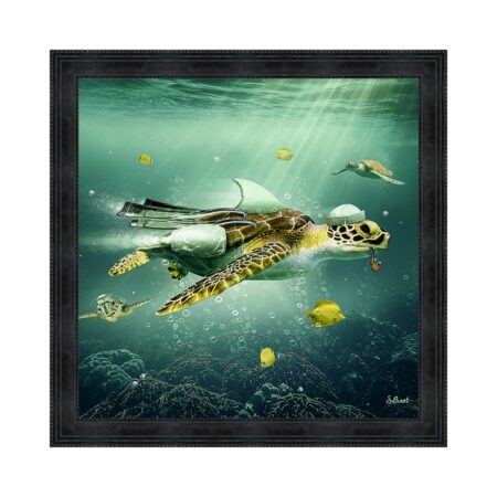 cadre tortue pipe poissons mer