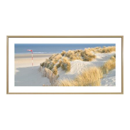 Tableau Dunes Vent de Terre Cohen 52x102cm