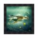 tableau tortue mer pipe poissons