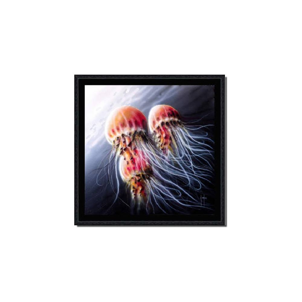 cadre_alain_coadou_meduses_locronan_0295-AC-20x20cm cadre alain coadou meduses locronan
