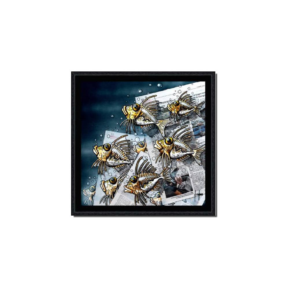 cadre_alain_coadou_poissons_journal_0318-AC-20x20cm cadre alain coadou poisson journal