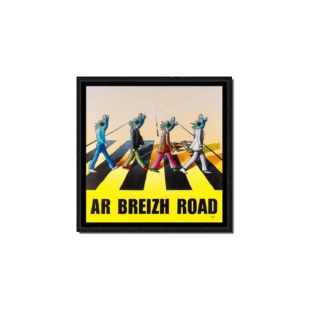 cadre coadou ar breizh road jaune