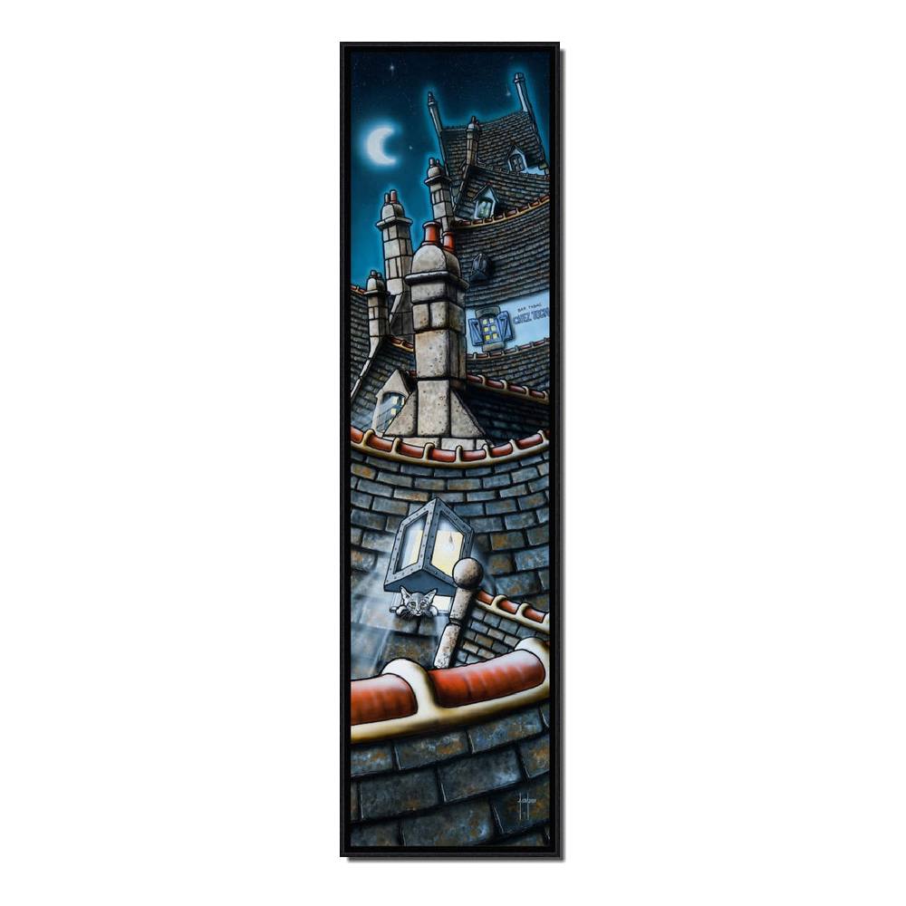 cadre coadou chat sur toit