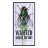Tableau Alain Coadou Mouche Wanted