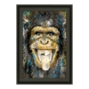 Cadre Singe de Romaric