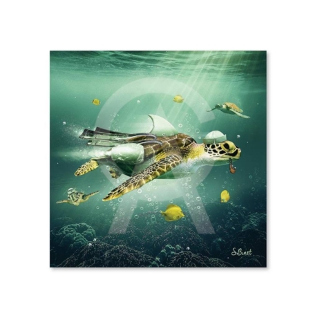 Alu Dibond Petit Format Tortue Binet