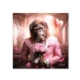 Petit Cadre Binet Monkey Love