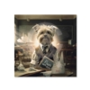 Petit Cadre Chien Ecole Sylvain Binet