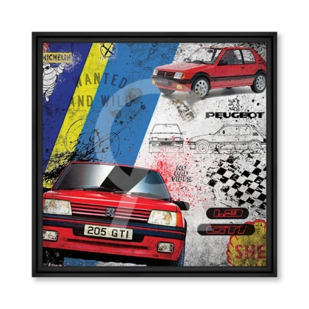Tableau 205 GTI 1.9 Rubix