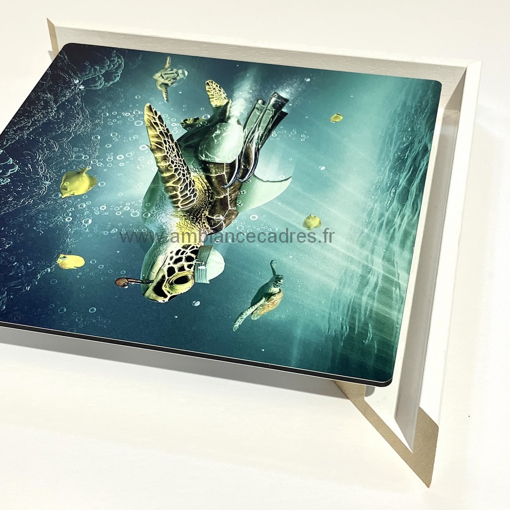 cadre_americain_blanc_pour_plexi_fabrique_en_france_auray_photo_sylvain_binet cadre américain blanc