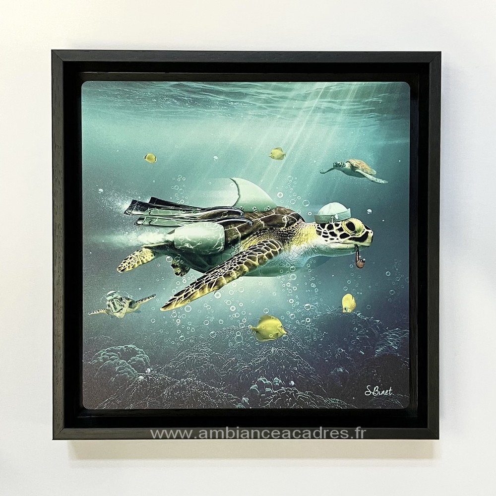 cadre_americain_bois_noire_pour_photos_loudeac_photo_sylvain_binet cadre américain bois noir