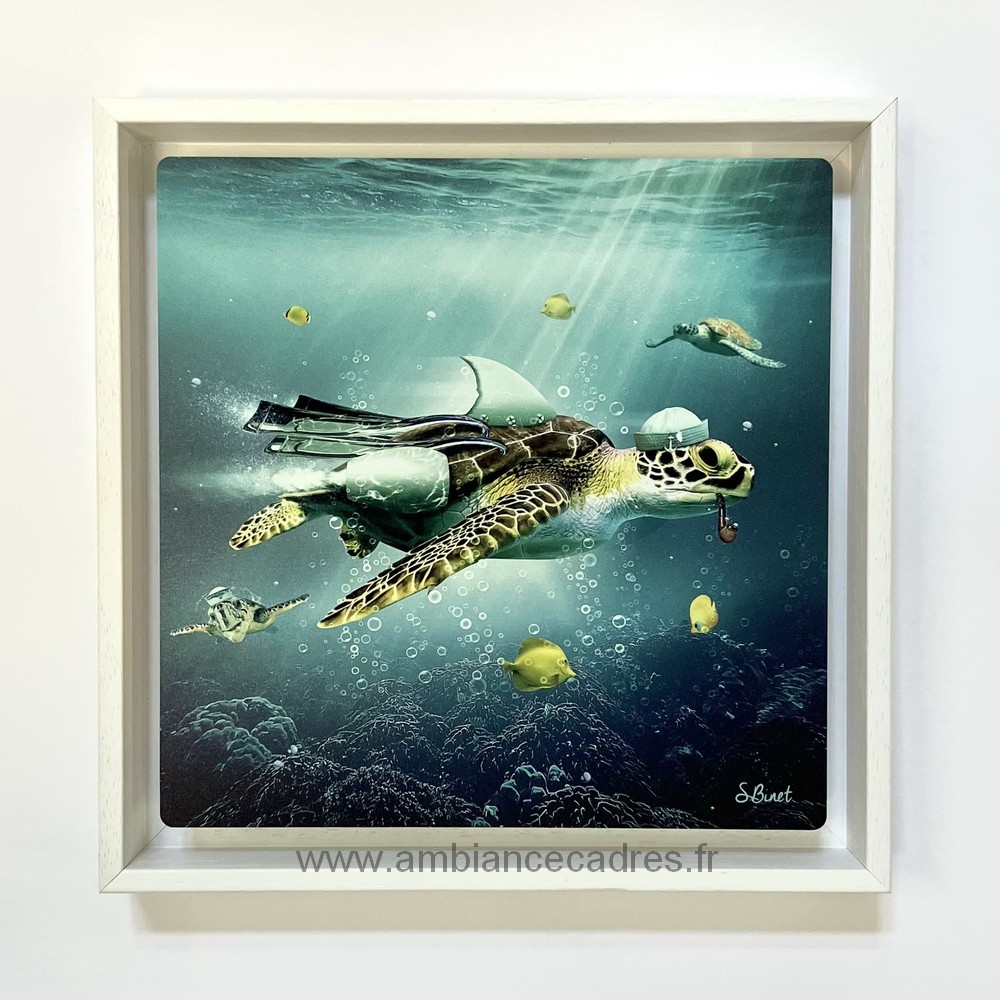 caisse_americaine_blanche_pour_encadrement_dibond_ploemeur_photo_sylvain_binet caisse américaine blanche