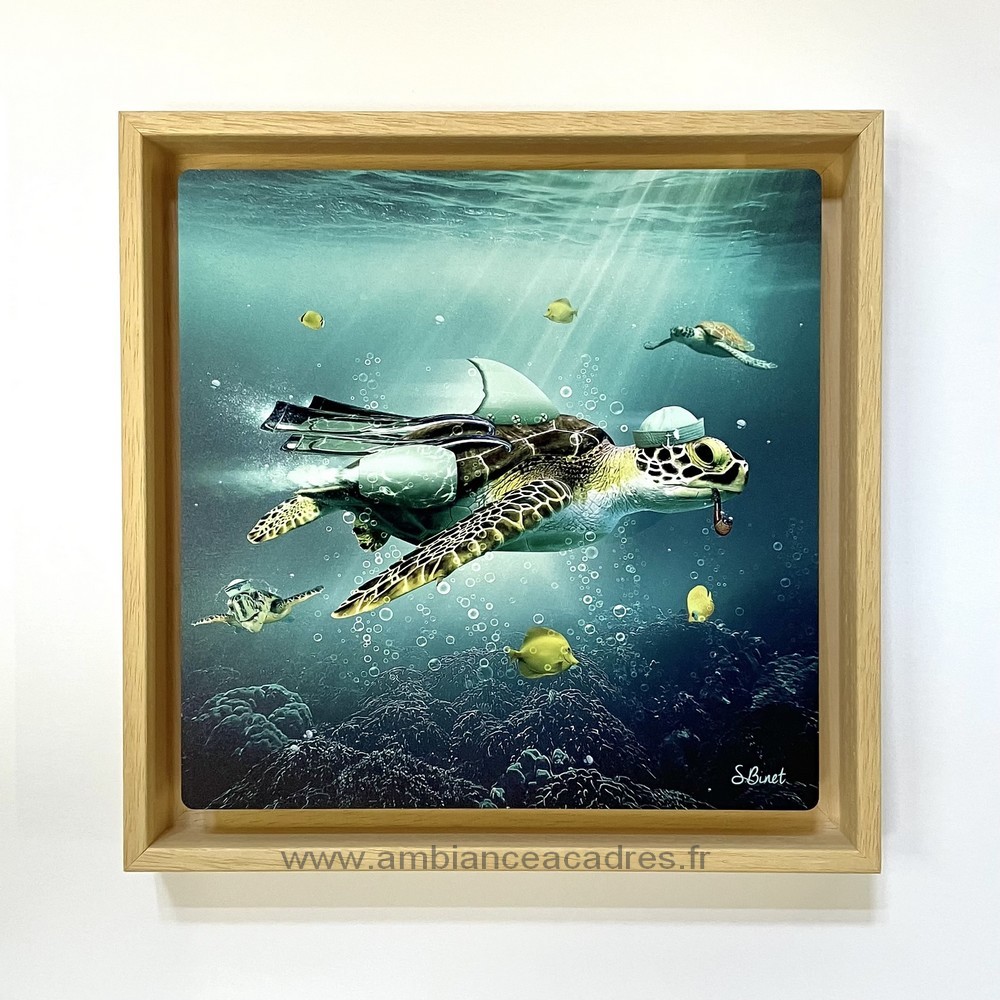 encadrement_americain_pour_photos_imprimees_sur_support_rigide_plougastel_daoulas_photo_sylvain_binet encadrement américain pour photos