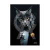 Tableau Dibond Chat Chanteur Binet