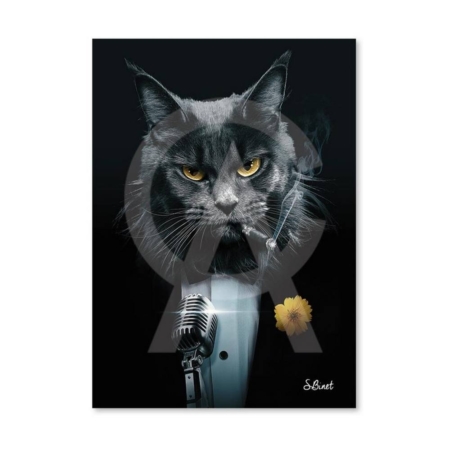 Tableau Dibond Chat Chanteur Binet