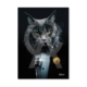 Tableau Dibond Chat Chanteur Binet