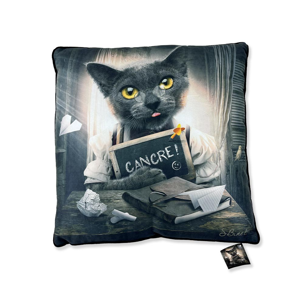 Coussin Chat Cancre de Sylvain Binet