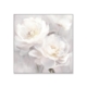 Toile Décorative Fleurs Blanches