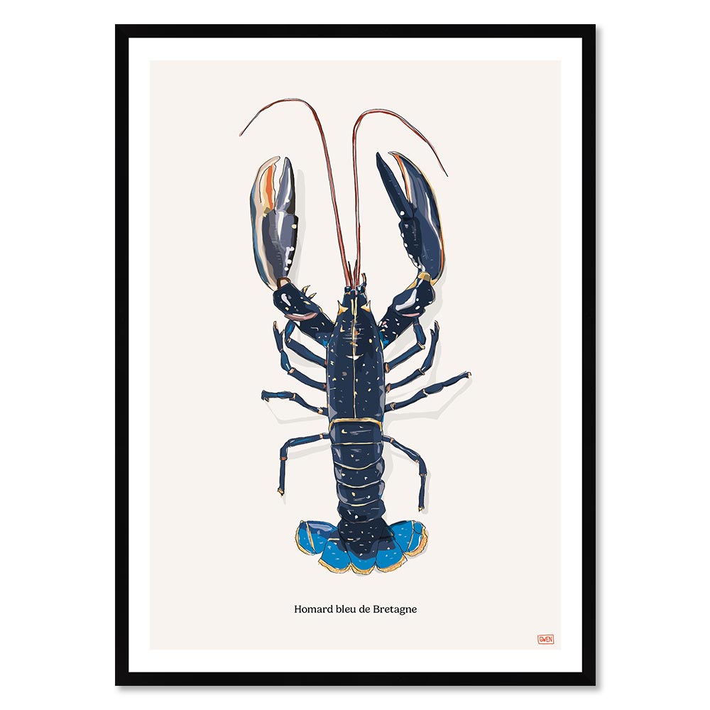 affiche encadrée Homard Bleu de Bretagne