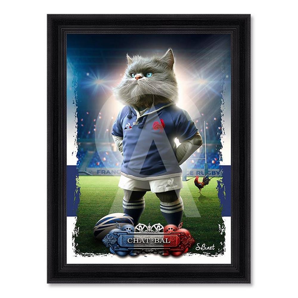 tableau_chat_bal_sylvain_binet_sport_rugby_deco_murale tableau Chat-Bal sylvain binet