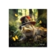 Dibond Tortue Fantastique Binet