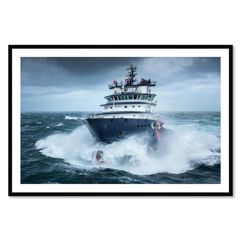 Tableau Abeille Bourbon Tempête Ciaran