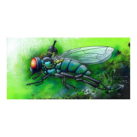 affiche alain coadou mouche bleue