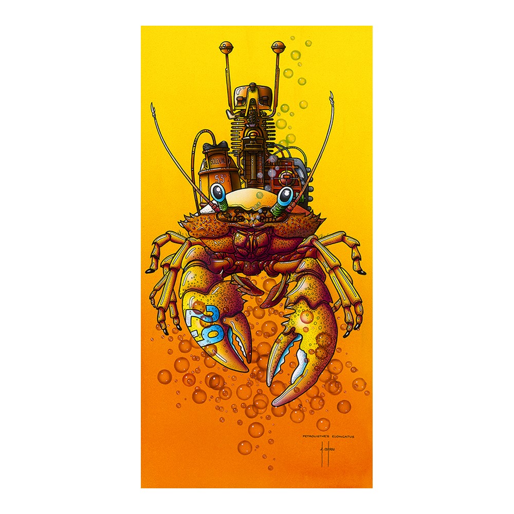 affiche petrolisthes elongatus coadou