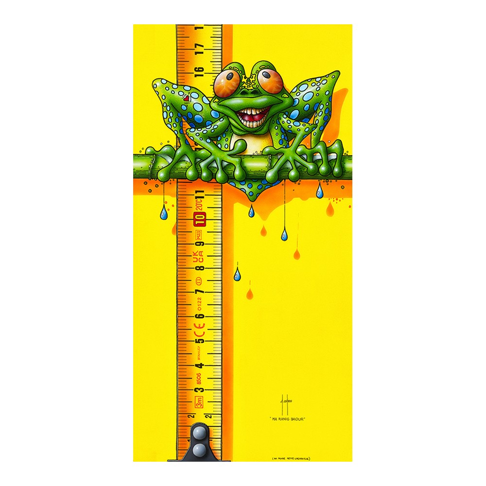 affiche_ma_raning_baour_pluie_bretagne_animal_vert_lac_nenuphares_ac-0995 affiche ma raning baour