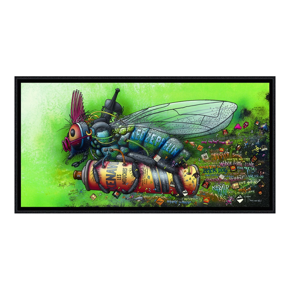 Cadre Coadou Rocknroll