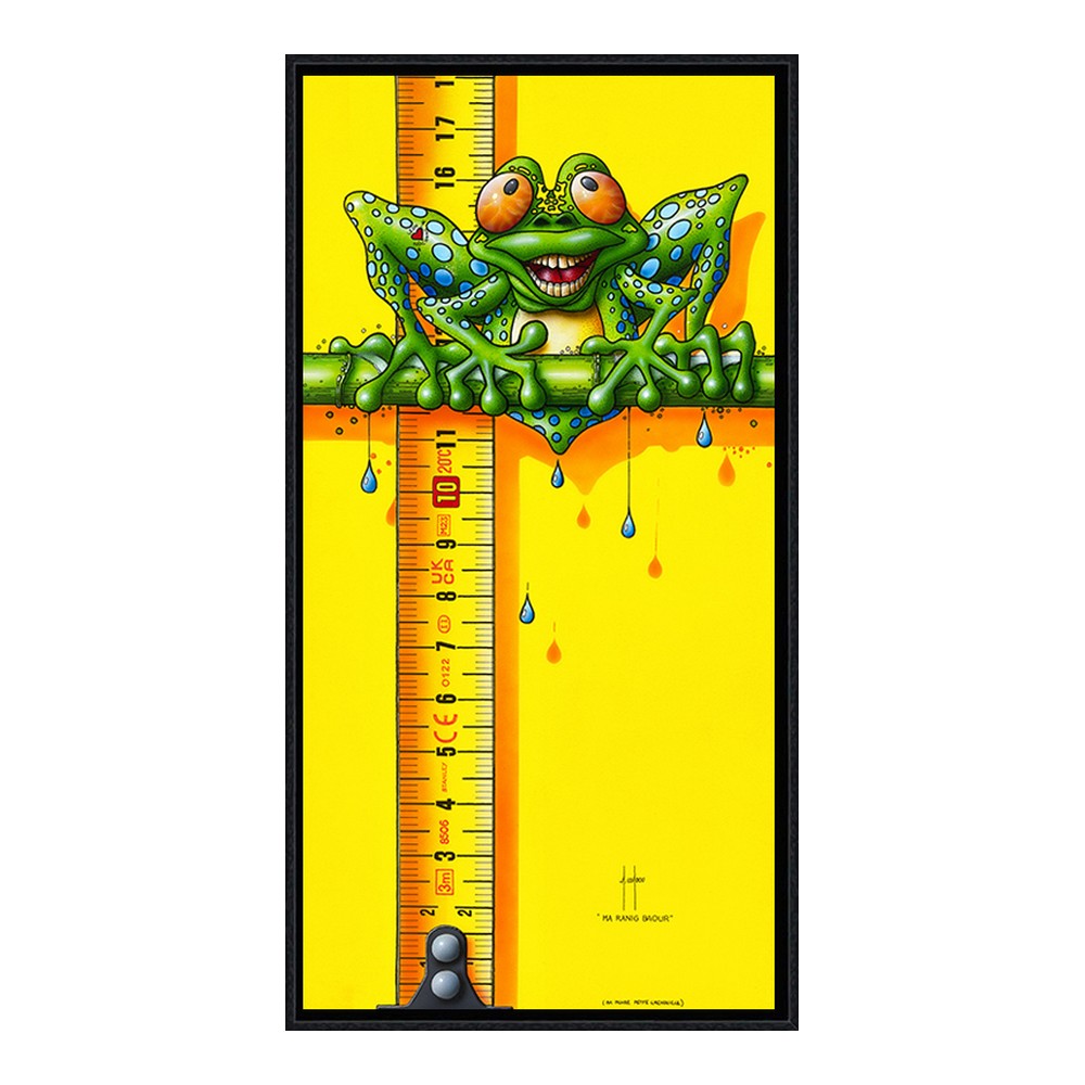 cadre_ma_raning_baour_alain_coadou_grenouille_crapaud_jaune_metre_ac-0995 Cadre Ma Raning Baour Coadou