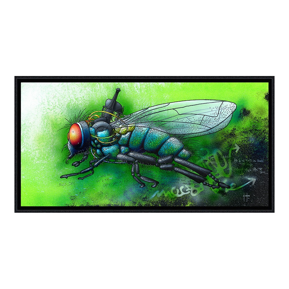 cadre_mouche_bleue_alain_coadou_moteur_vert_idee_cadeau_humour_ac-0950 Cadre Mouche Bleue Alain Coadou