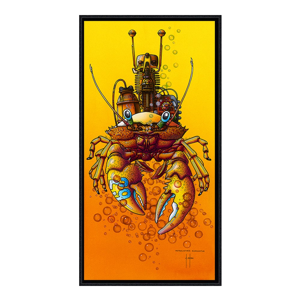 tableau petrolisthes elongatus alain coadou