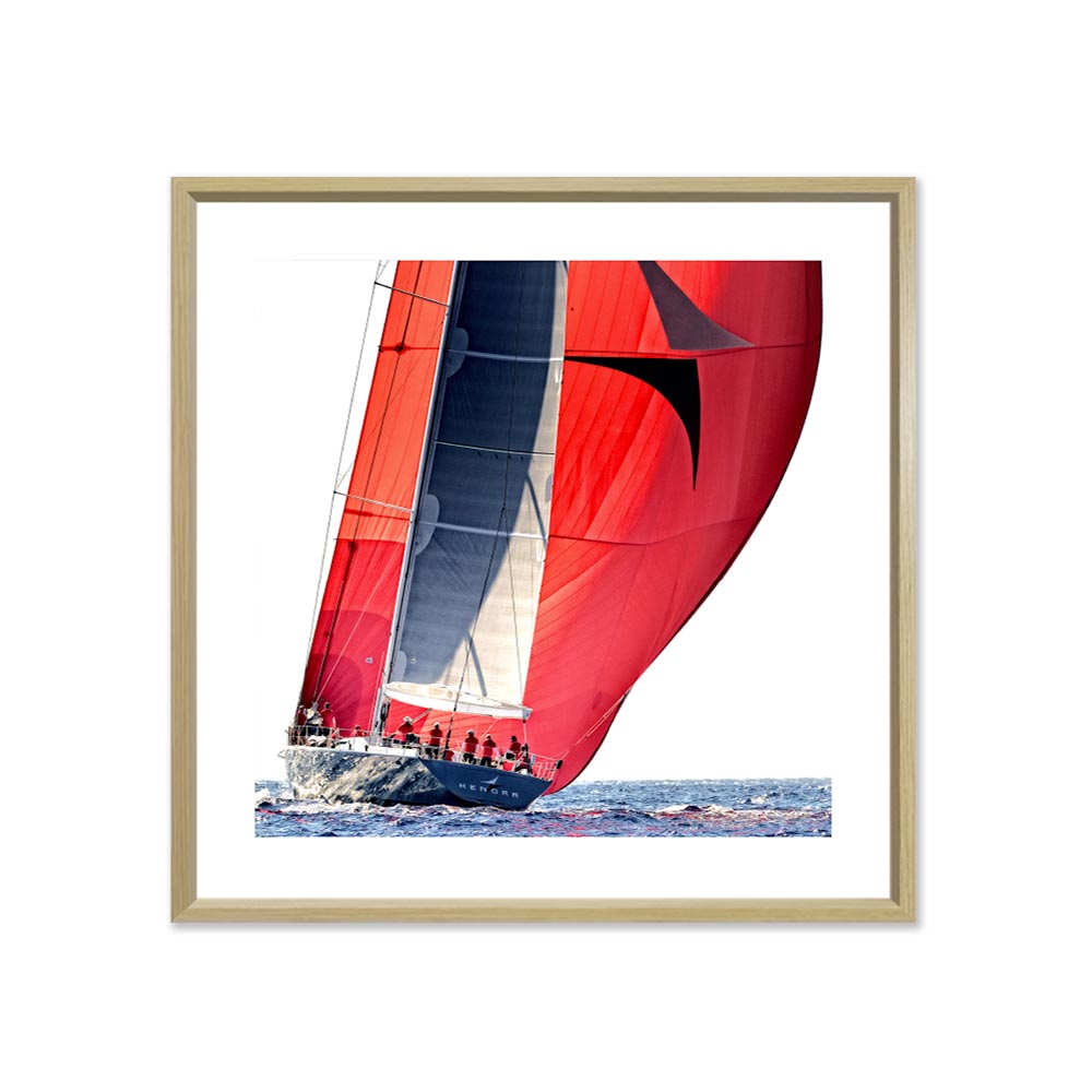 tableau cohen Voiliers Sous Spi