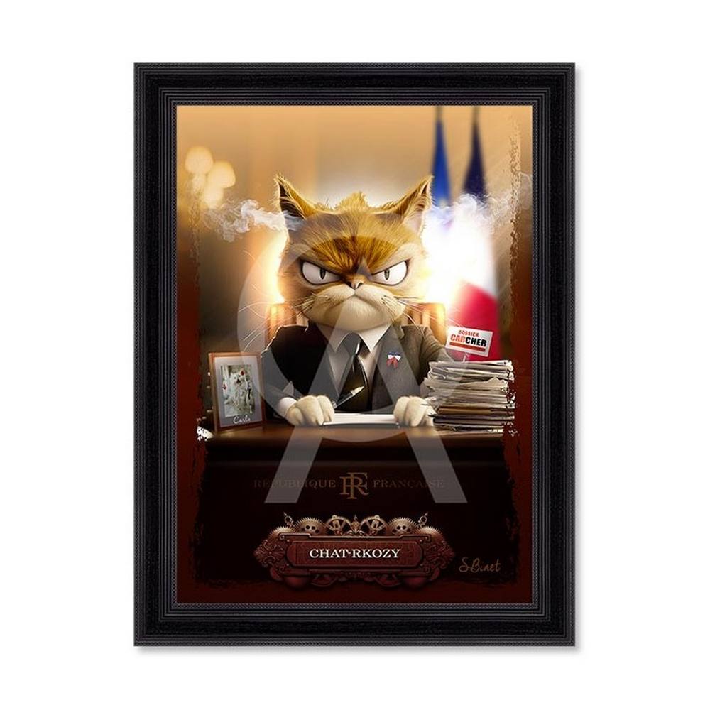 tableau_chat_rkozy_sylvain_binet_decoration_originale_bureau_drapeau_francais Tableau Chat-Rkozy Sylvain Binet
