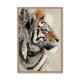 Tableau Tigre et Plumes Evoa Design