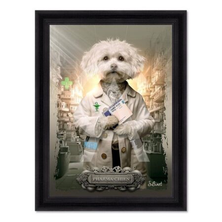 tableau Phar-Chien sylvain binet